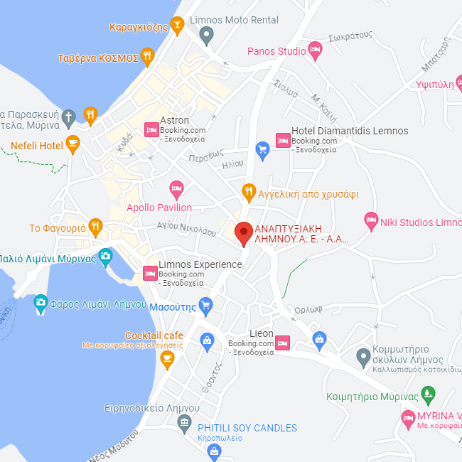 Google Maps